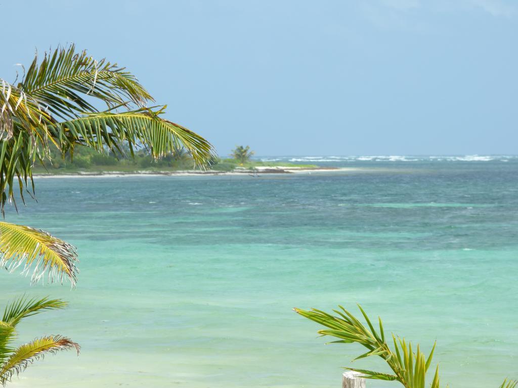 ホテル Mayan Beach Garden El Placer エクステリア 写真